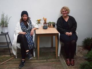 Bild Bild
