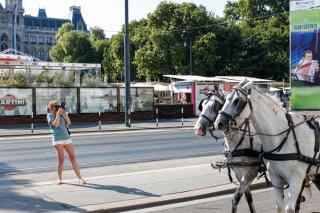 PolaWalk, Polaroifotos, Fotografieren, Wien