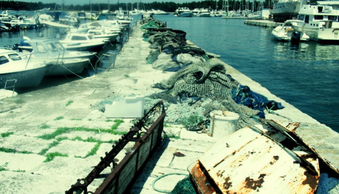 Novigrad Novigrad