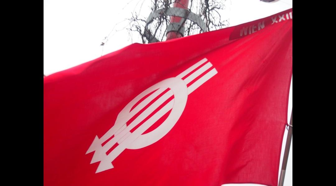 SPÖ-Flagge